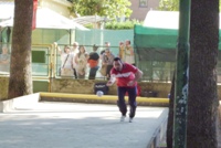 Clicca sulla foto per vedere ingrandimento